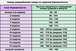 Сердцебиение плода 39 неделе беременности