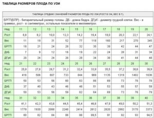 Размеры плода на 20 неделе беременности по узи таблица