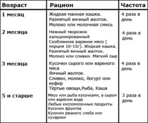 С какого возраста можно подкармливать котят и чем