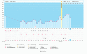 График бт при ановуляторном цикле