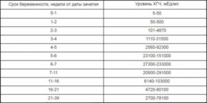 Как растет хгч на 6 неделе беременности