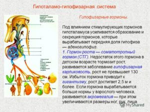 Как повысить ттг у женщин народными средствами