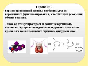 Гормон тироксин на что влияет