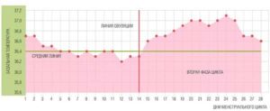 Температура 37 при беременности на ранних сроках беременности форум