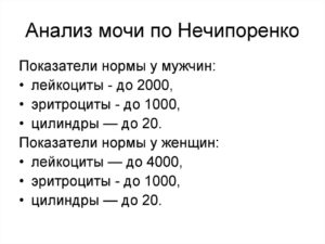 Норма анализ мочи по нечипоренко при беременности