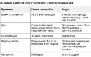 Что делать если отошла пробка при беременности на 39 неделе