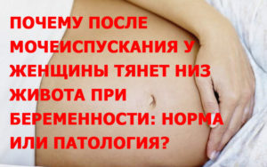 При Беременности Тянет Низ Живота 22 Недели