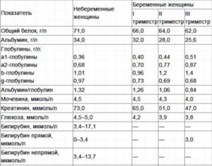 Повышен билирубин во время беременности