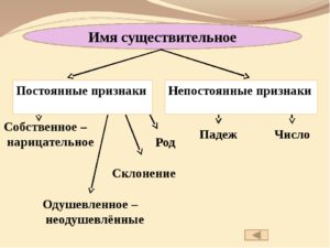 Что значит постоянные признаки и непостоянные признаки