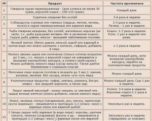 С какого возраста котенку можно давать молоко