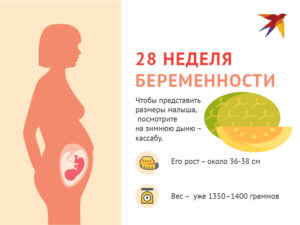 Плод на 27 28 неделе беременности