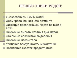 37 неделя беременности предвестники родов у первородящих отзывы форум