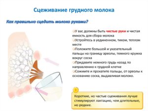 Как правильно расцедить грудное молоко после родов