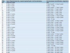 Эмбрион 6 мм какой срок беременности