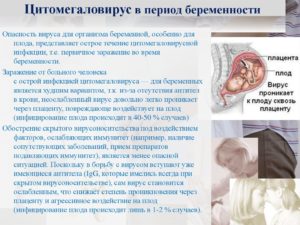 Форум Цитомегаловирус При Беременности Последствия Для Плода