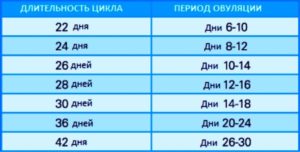 Как часто происходит овуляция после 40 лет