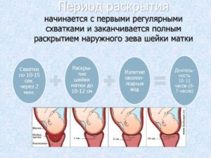 Раскрытие на 2 пальца и отошла пробка когда рожать