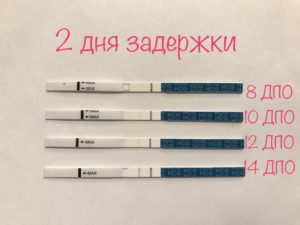 Тесты на беременность до задержки месячных фото