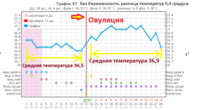 Может ли быть температура тела при зачатии