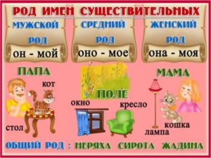 Как научить ребенка определять род