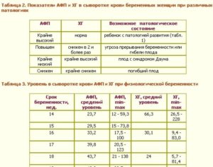 Хгч и афп при беременности норма по неделям таблица