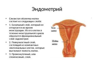Можно ли забеременеть при гиперплазии эндометрия матки
