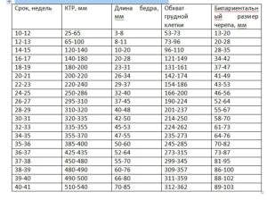 Носовая кость в 11 недель норма таблица