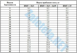 24 Неделя беременности прибавка весе норма