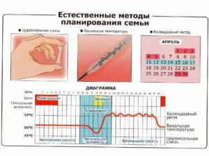 Как определить овуляцию по выделениям и ощущениям с фото