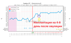 Может ли быть имплантационное западение на 4 день после овуляции