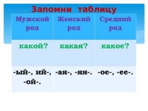 На какие вопросы отвечает женский мужской и средний род