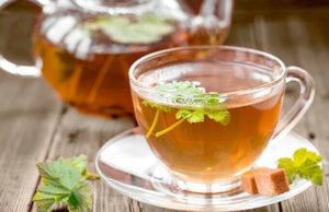 Можно ли при беременности чай с листьями смородины
