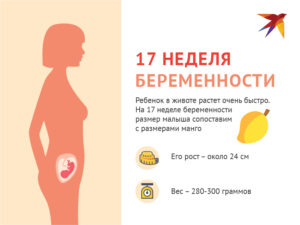 17 Недель беременности ощущения в животе форум