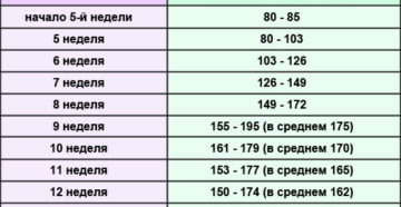 Чсс на 19 неделе беременности у плода