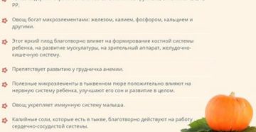 С Какого Возраста Можно Давать Ребенку Тыкву