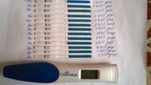 14 день после переноса эмбрионов тест отрицательный месячных нет