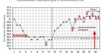 Беременность 4 недели температура 37 2