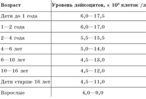 Лейкоциты В Крови Повышены У Новорожденного Причины