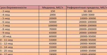 Как часто нужно сдавать кровь на хгч на ранних сроках беременности