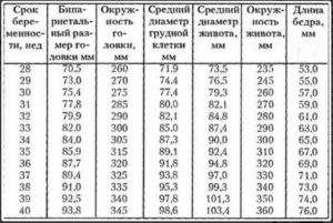 Бипариетальный размер головки плода таблица по неделям