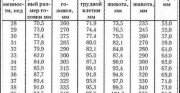 Бипариетальный размер головки плода таблица по неделям