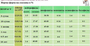 У Ребенка Повышены Лимфоциты В Крови Форум