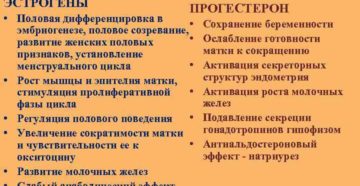 Женские половые гормоны и их действие на организм