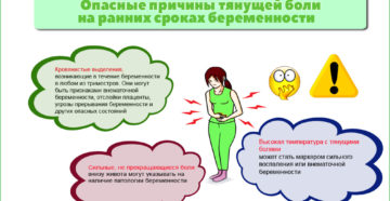 Живот Не Болит На Ранних Сроках Беременности