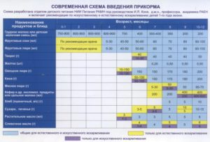 Можно ли тушенку при грудном вскармливании новорожденного