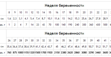 Сколько шевелений должно быть на 19 неделе беременности