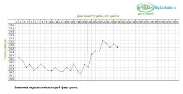 Овуляция на 20 день цикла при 30 дневном цикле