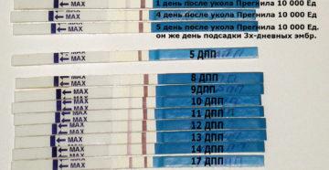 Если на 12 день после переноса эмбрионов тест отрицательный