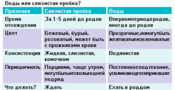 Что делать если отошла пробка при беременности на 39 неделе