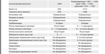 Ph в моче у беременных норма